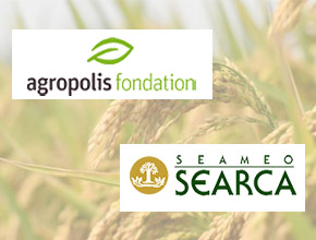Agropolis and SEARCA Co-funding