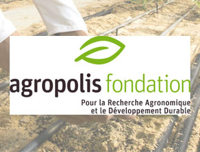 Agropolis Fondation