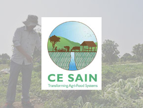 Center for Excellence on Sustainable Agricultural Intensification and Nutrition