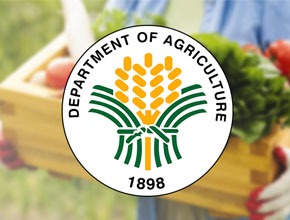 Department of Agriculture