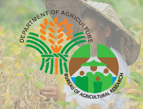 Department of Agriculture - Bureau of Agricultural Research