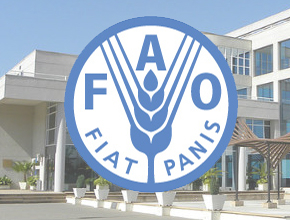 Food and Agriculture Organization of the United Nations 