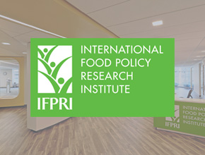 International Food Policy Research Institute