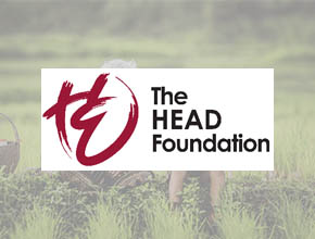 The HEAD Foundation
